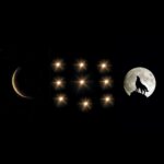 FARELER VE İNSANLAR